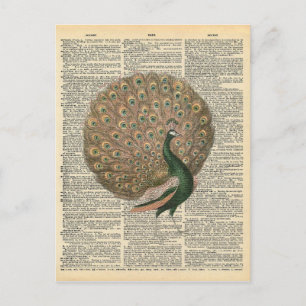 Vintage-Wörterbuch-Kunst Schöner Pfau Vogel Postkarte