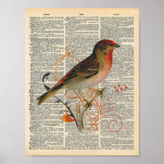 Vintage Wörterbücher Kunst Hübsche Vogelkunst Poster