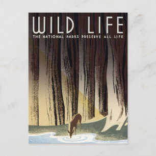 Vintage-WPA-Wildlife-Hirsche-Nationalparks Postkarte