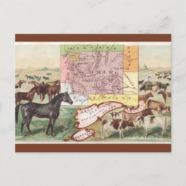 Vintage Wyoming Map Postkarte (Vorderseite)