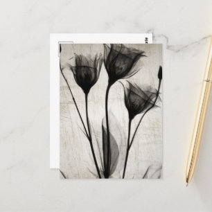 Vintage X-Ray Flowers Postkarte