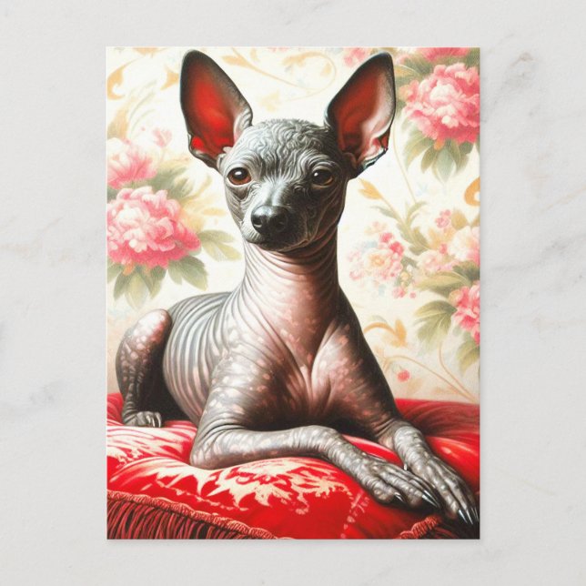 Vintage Xoloitzcuintle Illustration Postkarte (Vorderseite)