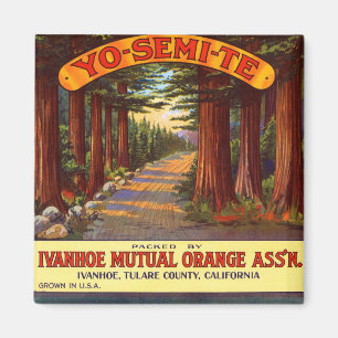 Vintage Yo-Semi-Te Orange Etikett Magnet