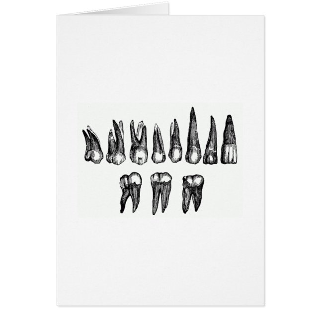 Vintage Zähne (Vorne)