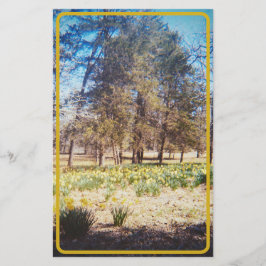 Vintage Zahnheilkunde Briefpapier