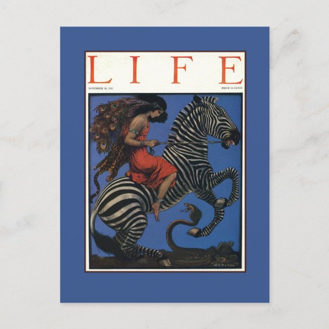 Vintage Zebra Jugendstilfrau Postkarte (Vorderseite)