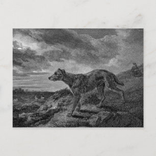 Vintage Zeichnung von Lurcher-Hunden Postkarte
