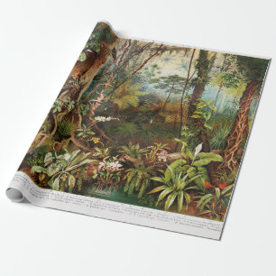 Vintage-Zeichnung von tropischen Waldpflanzen aus Geschenkpapier
