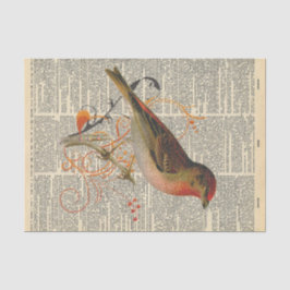 Vintage Zeitung mit Vogeldekoupage Seidenpapier