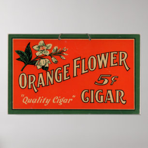 Vintage Zigarren-Anzeige: Orange Blume Poster