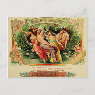 Vintage-Zigarrenkisten-Etikett-Postkarte 77 Postkarte