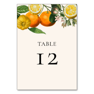 Vintage-Zitronen-Orangen-Grünpflanzen-Botanische-H Tischnummer