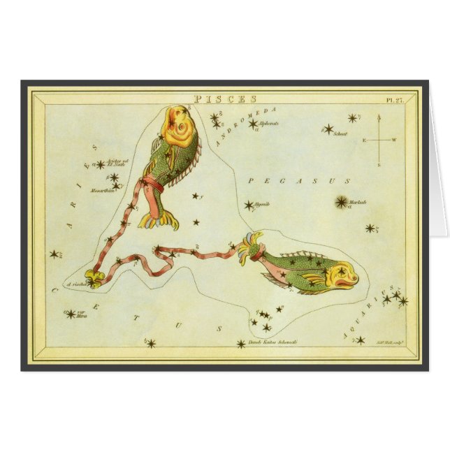 Vintage Zodiac-Astrologie Fische Konstellation (Vorderseite (Horizontal))