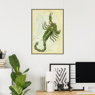 Vintage-Zodiak, Astrologie Skorpion-Sternbild Poster