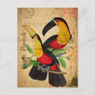 Vintage Zwei Farbige Tukane Blumen Französisch Postkarte