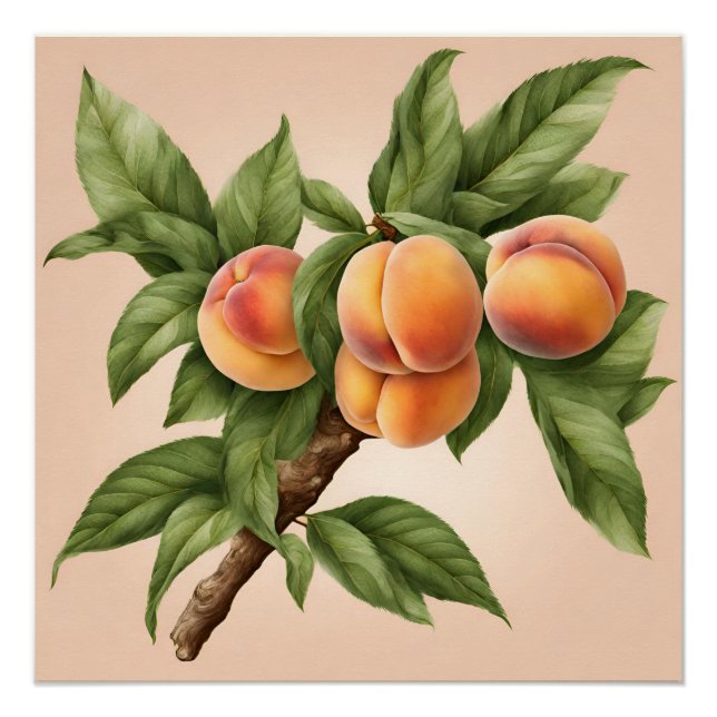 Vintage Zweigstelle mit Peach Fruit Illustration Poster (Vorderseite)