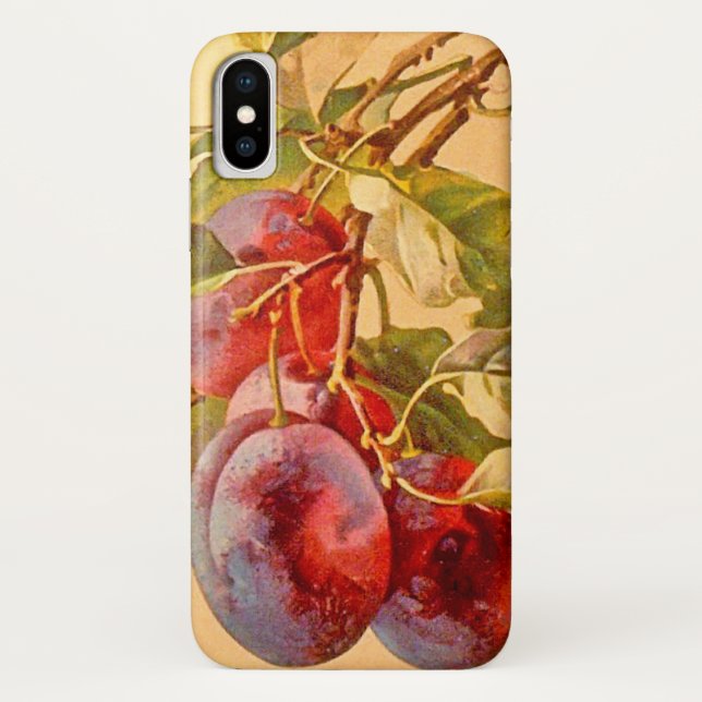 Vintage Zweigstelle mit Pflaumen Case-Mate iPhone Hülle (Rückseite)