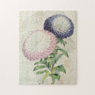 Vintage Zwerge Chrysanthemum-Flower-Aster Puzzle