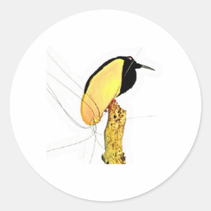 Vintage Zwölfadriger Paradiesvogel-Aufkleber, Exo Runder Aufkleber