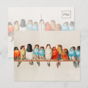 Vintagefarbige Vögel Aquarell Natur Wildtiere Postkarte