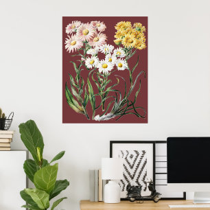 Vintagefarbige Wildblumen-Botanik-Blumenkunst Poster