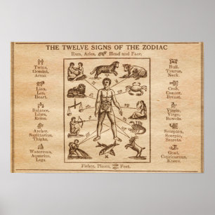Vintagen 12 Zeichen des Zodiaks Poster