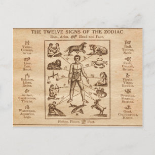 Vintagen 12 Zeichen des Zodiaks Postkarte