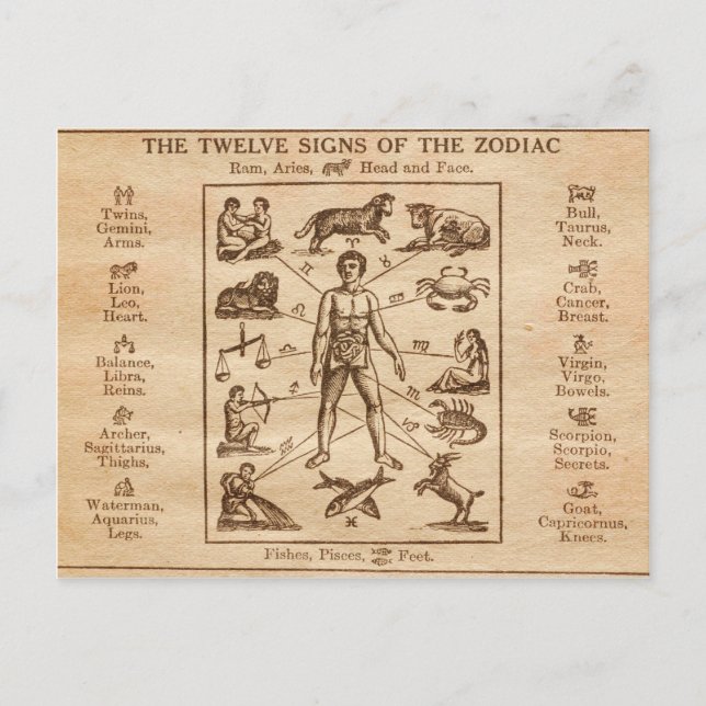 Vintagen 12 Zeichen des Zodiaks Postkarte (Vorderseite)