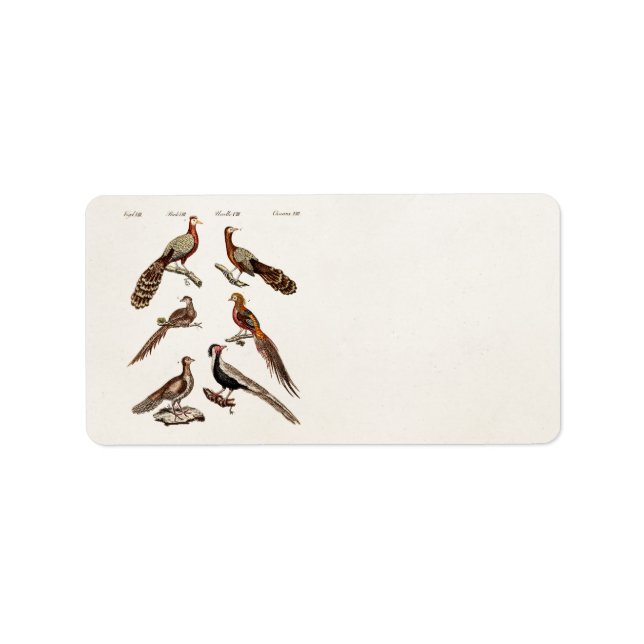 Vintagen 1700er Jahre Fasanenwild - Fasanischer Vo Adressaufkleber (Vorne)