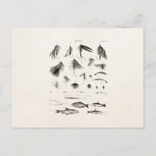 Vintagen 1800er Jahre Angelfliegen alte Haken Postkarte