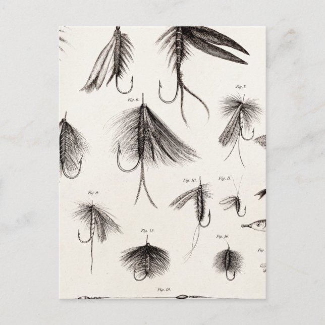 Vintagen 1800er Jahre Angelfliegen alte Haken Postkarte (Vorderseite)