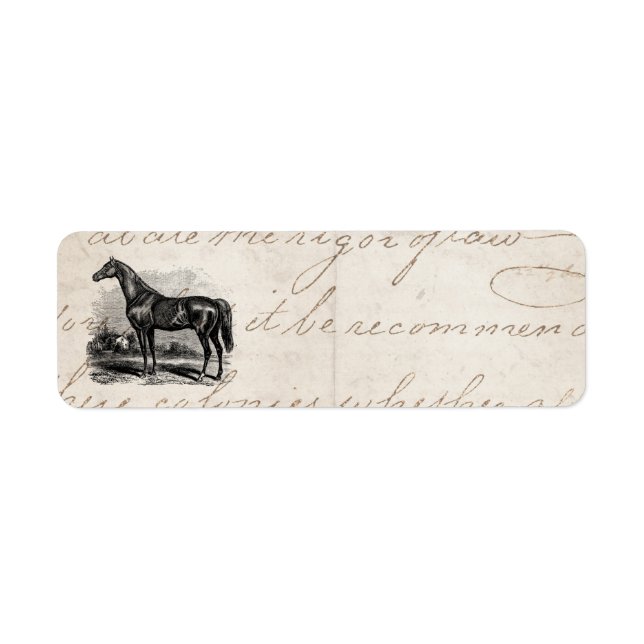 Vintagen 1800er Race Horse Retro Durchdachte Pferd (Vorne)