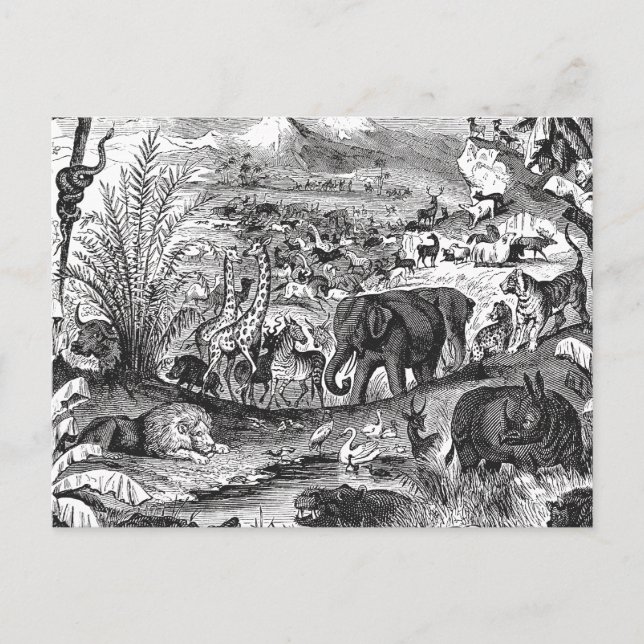 Vintagen Afrikanische Tiere im 18. Jahrhundert Postkarte (Vorderseite)