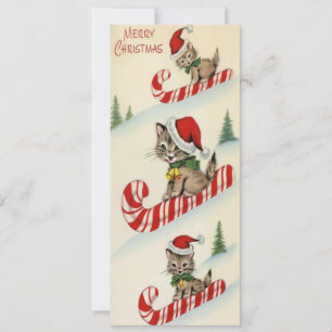 Vintagen drei wunderbare Kätzchen auf Süßigkeiten