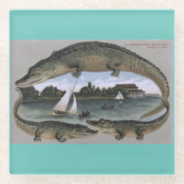 Vintagen Florida Gators Untersetzer. Tampa-Alligat Glasuntersetzer