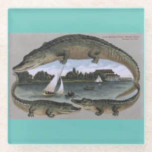 Vintagen Florida Gators Untersetzer. Tampa-Alligat Glasuntersetzer