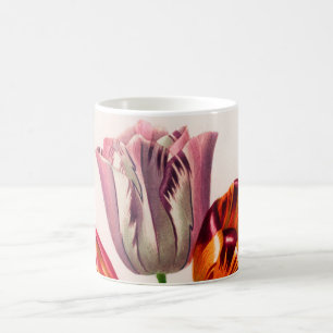 Vintagen illustrierten kaffeetasse