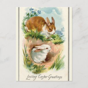 Vintagen zwei Bunnies lieben Ostern Grüße Postkarte
