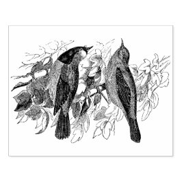 Vintagen zwei Vögel Antike Gummi-Briefmarke Gummistempel