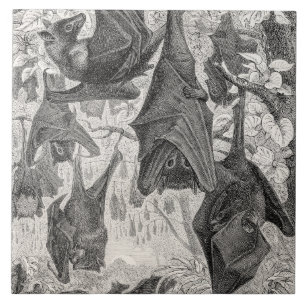 Vintager 1800s Fliegenfox-Schläger-Retro Schablon Fliese