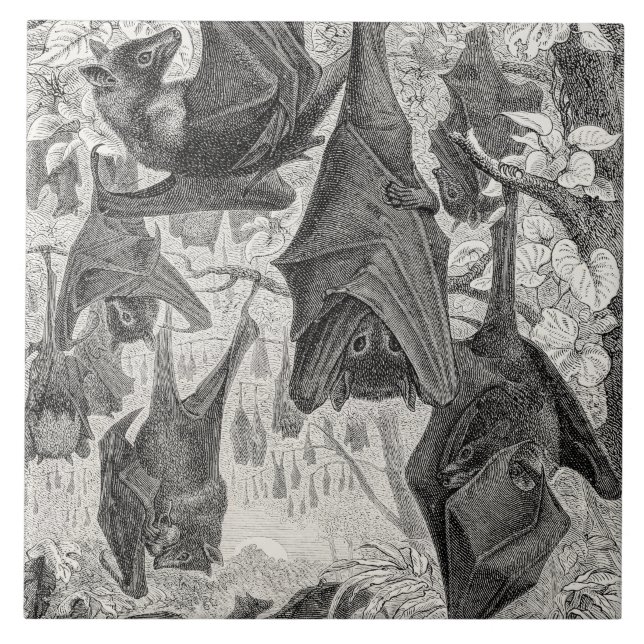 Vintager 1800s Fliegenfox-Schläger-Retro Schablone Fliese (Vorderseite)