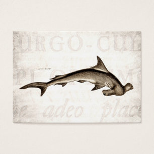 Vintager 1800s Hammerhai-Haifisch-alter