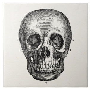 Vintager 1800s Schädel-Retro Schädel Skeleton Fliese