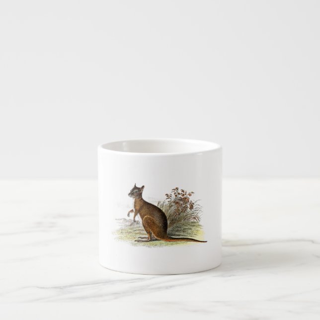 Vintager 1800s Wallaby-Illustrations-Känguru Espressotasse (Vorderseite)