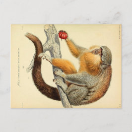 Vintager Affe mit Obstkarte Postkarte