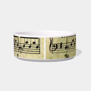 Vintager alter Musiknoten-Papierbeschaffenheit Napf