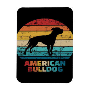 Vintager amerikanischer Bulldog Magnet
