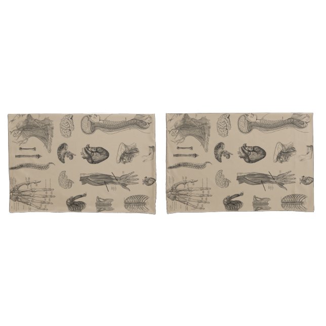 Vintager Anatomie-Druck Kissenbezug (Vorderseite-Set)