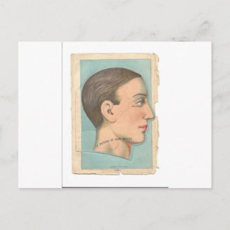 Vintager Anatomie-Foto Postkarte