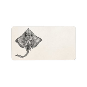 Vintager angrenzender StrahlStingray - Adressaufkleber